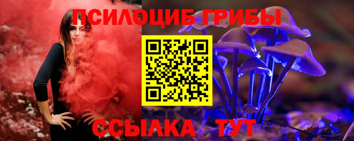 Галлюциногенные грибы Psilocybine cubensis Сальск