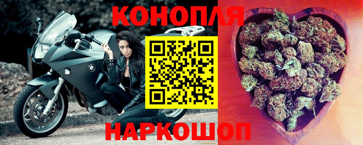 Бошки Шишки план Сальск